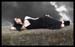 _MG_0066 copy